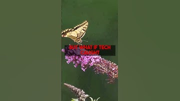 Mastering Customs Documents Avoiding Delays