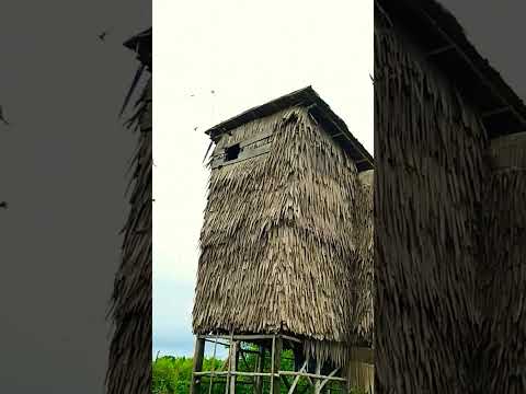 @TANIPELOSOK Rumah burung