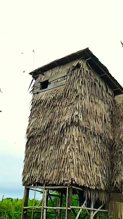 @TANIPELOSOK Rumah burung walet RBW mini Nusantara #Ay1991#fyp #viral #nusantara #rbwmini #rbw