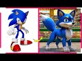 Sonic the hedgehog becomes dogs  sonic if were dogs