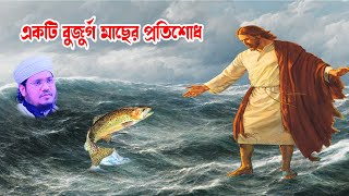 মোজাম্মেল হক সাঈদ । Mozammel Haque Sayed  |    masar poti shode