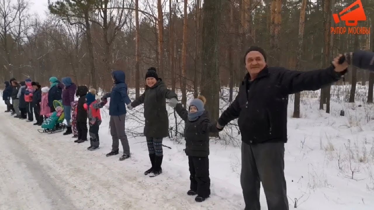 «Легкие» Казани хотят вырубить ради дороги