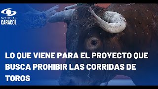 ¿Qué viene para el proyecto de ley que busca la prohibición de las corridas de toros en el país?