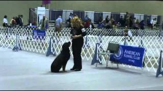 Amy Jenkins - 2011 Noi With Ike 590