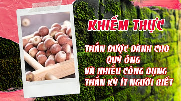 Khiếm Thực - Thảo dược dành cho quý ông và cực nhiều công dụng hay rất ít người biết