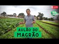 AULÃO DO MAGRÃO - MAGRÃO VIDEOCAST #70