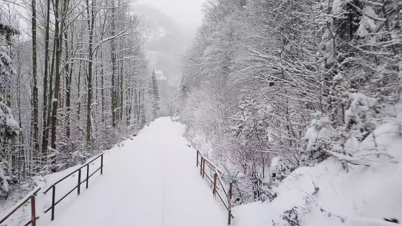 R344 Dolný Harmanec, 757 cabview winter