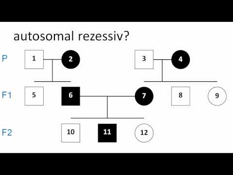 Video: Genanalyse Og Kunnskapsdrevet Variant Tolking Med TGex