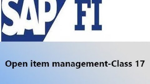 SAP FI open item management - Class 17