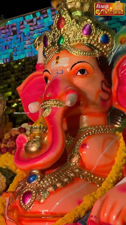 விநாயகர் சதுர்த்தி தரிசனம் | SIRKALI Vinayagar chaturthi Function #shortsvideo #vinayagarchaturthi