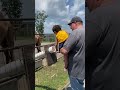 Feeding The CamelsЁЯе тЭдя ПЁЯШН Feeding The CamelsЁЯе тЭдя ПЁЯШН