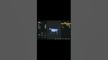 making a call of the wild video every day until I get 1000 subs day625