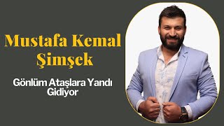 Mustafa Kemal Şimşek Gönlüm Ataşlara Yandı Gidiyor Resimi