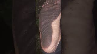 Dirty Feet Fun At Night