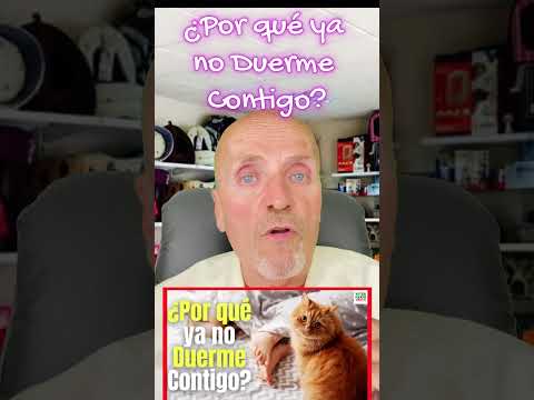 🚨¿PORQUE MI GATO