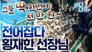 하루에 5천만 원도 번다는 선장님. 그물 터지기 직전까지 꽉 찼다! 전어로 대박난 어부 이야기 / #바다다큐