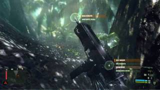 Crysis Jungle Map HD