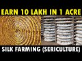 Silk Farming (Sericulture) | How Silk is made from Silkworm