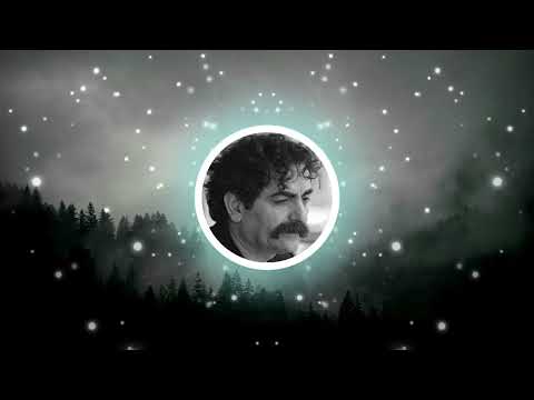 رو سر بنه به بالین تنها مرا رها کن با صدای شهرام ناظری