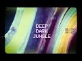 Miniature de la vidéo de la chanson Deep Dark Jungle