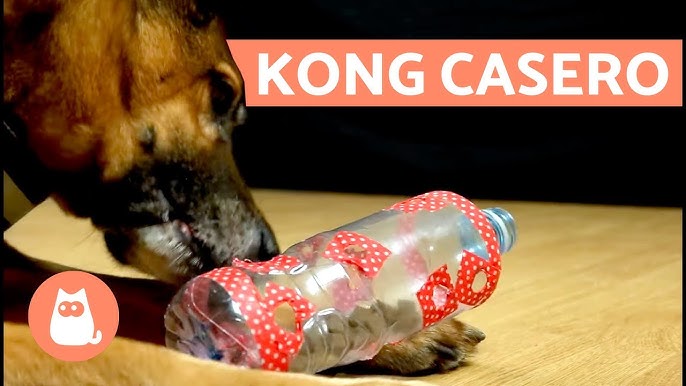 Juguetes Kong para Cansar a Perros con Mucha Energía y Resolver Problemas  de Comportamiento 