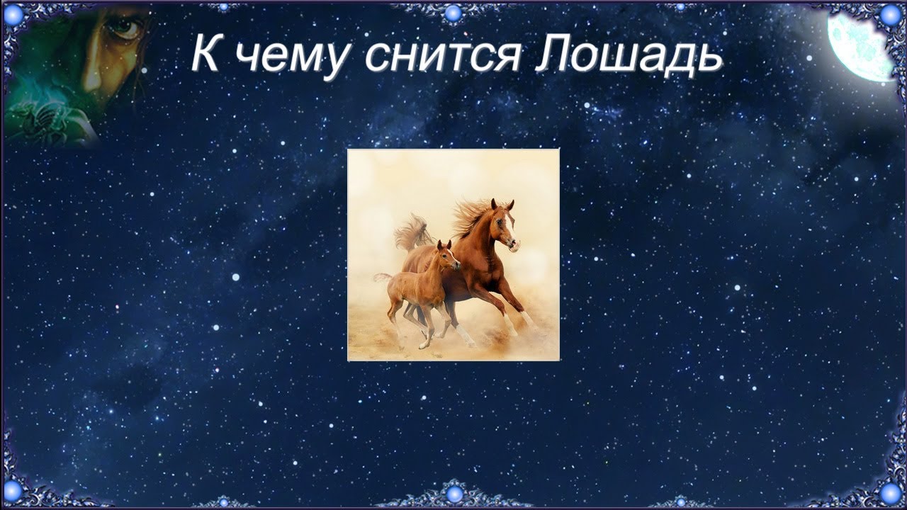 Сонник видеть лошадь. Сонник к чему снится лошадь. Приснилась лошадь во сне. Во сне видеть лошадь к чему женщине снится. К чему снится конь лошадь.