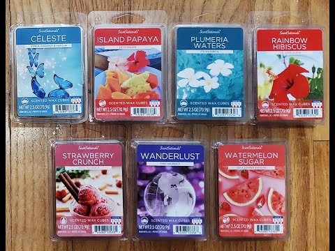 ScentSationals Blast From the Past Wax Melts Reviews - 2022 