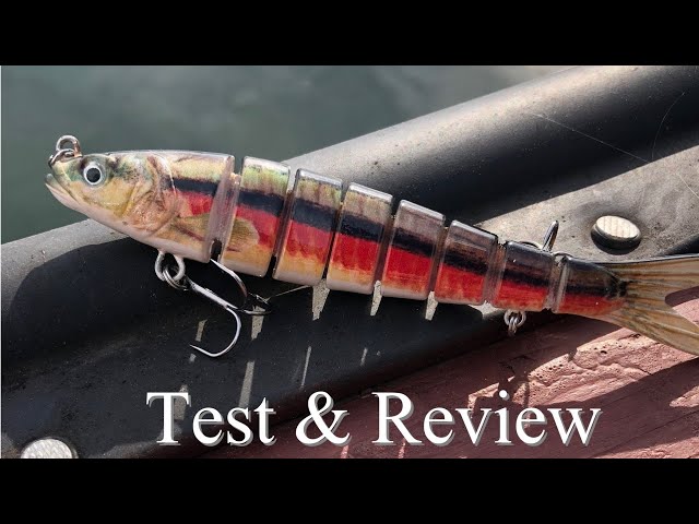Truscend Swimbait: Test and Review 