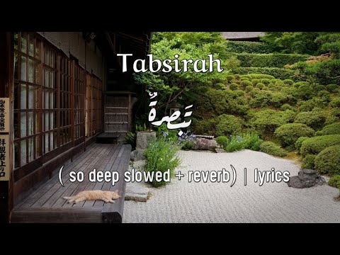   تبصرة        