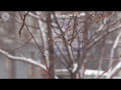 Дожди, ветер, мокрый