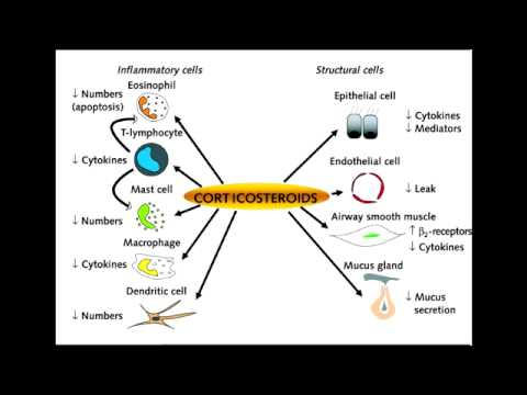 Corticosteroids asthma medications