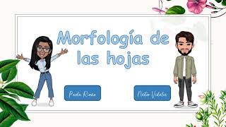 Morfología de las hojas