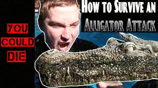 How to Survive an Alligator Attack
