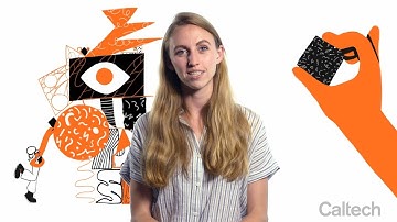 The Caltech Effect: The Big Picture