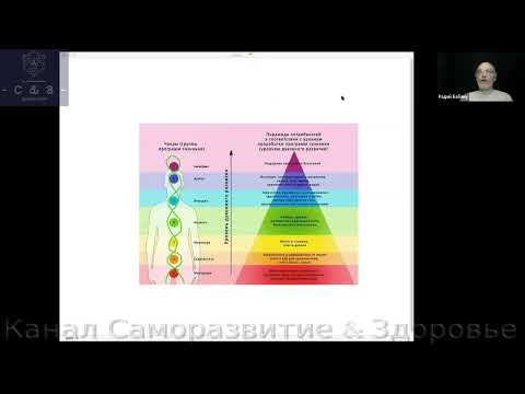 Про Плазму. 2-ой сезон. Конференция 5