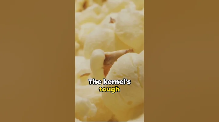 The Science Behind Popcorn Pops