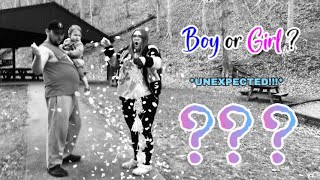 Gender Reveal | Baby #2 *EVERYONE WAS SHOCKED!*