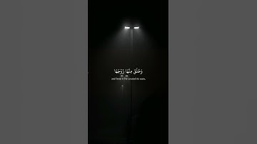 سورة_النساء  آية ١ ||حالات واتس قرآن ||تلاوة #مشاري_العفاسي