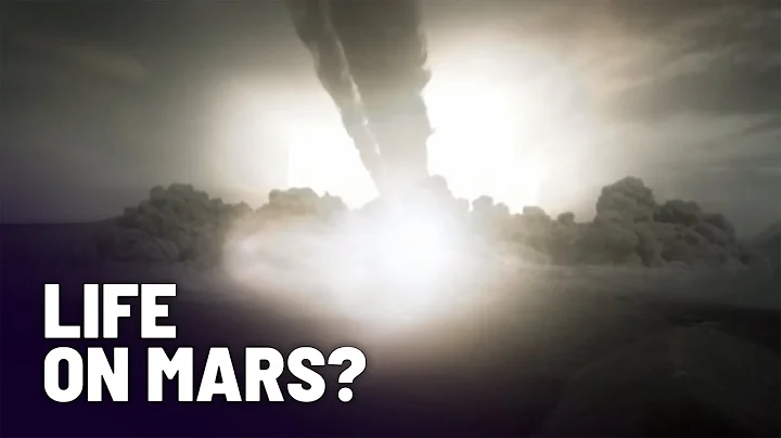 The Martian Meteorite That Started the Search for Alien Life