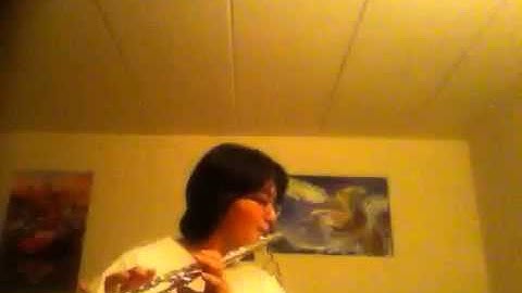 Nineteen Duos No. 1 by Devienne (2nd Part)