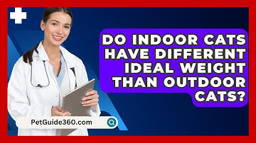 Do Indoor Cats Have Different Ideal Weight Than Outdoor Cats? - PetGuide360.com