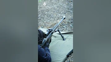 50 BMG Echo In The Canyon