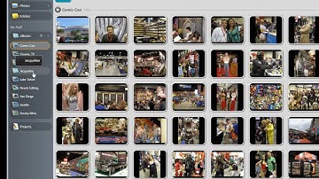 Using The Organizer - VideoStudio Pro X3