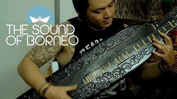 Sound of Borneo  l  Sape The Dayak Tribe Traditional Music Instrument