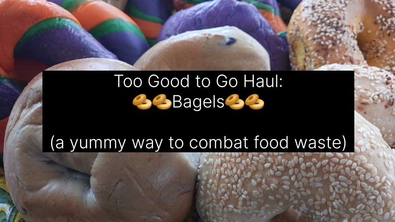 Too Good to Go Haul Bagels YouTube