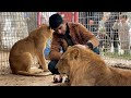 Rafah zookeepers &quot;feed lions bread&quot; amid food shortages in Gaza | AFP