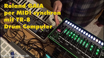 Roland GAIA SH-01 MIDI synchron TR-8 Drum Machine Computer deutsch
