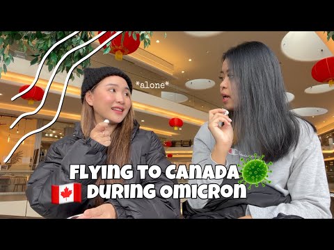 วีดีโอ: มีเที่ยวบินตรงไปแคนาดาหรือไม่?