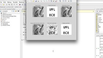 program demonstration digital watermarking