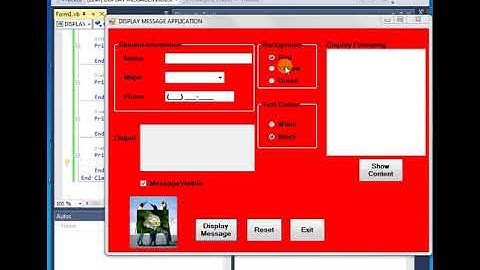 program coding with picturebox, radio button checkbox 4